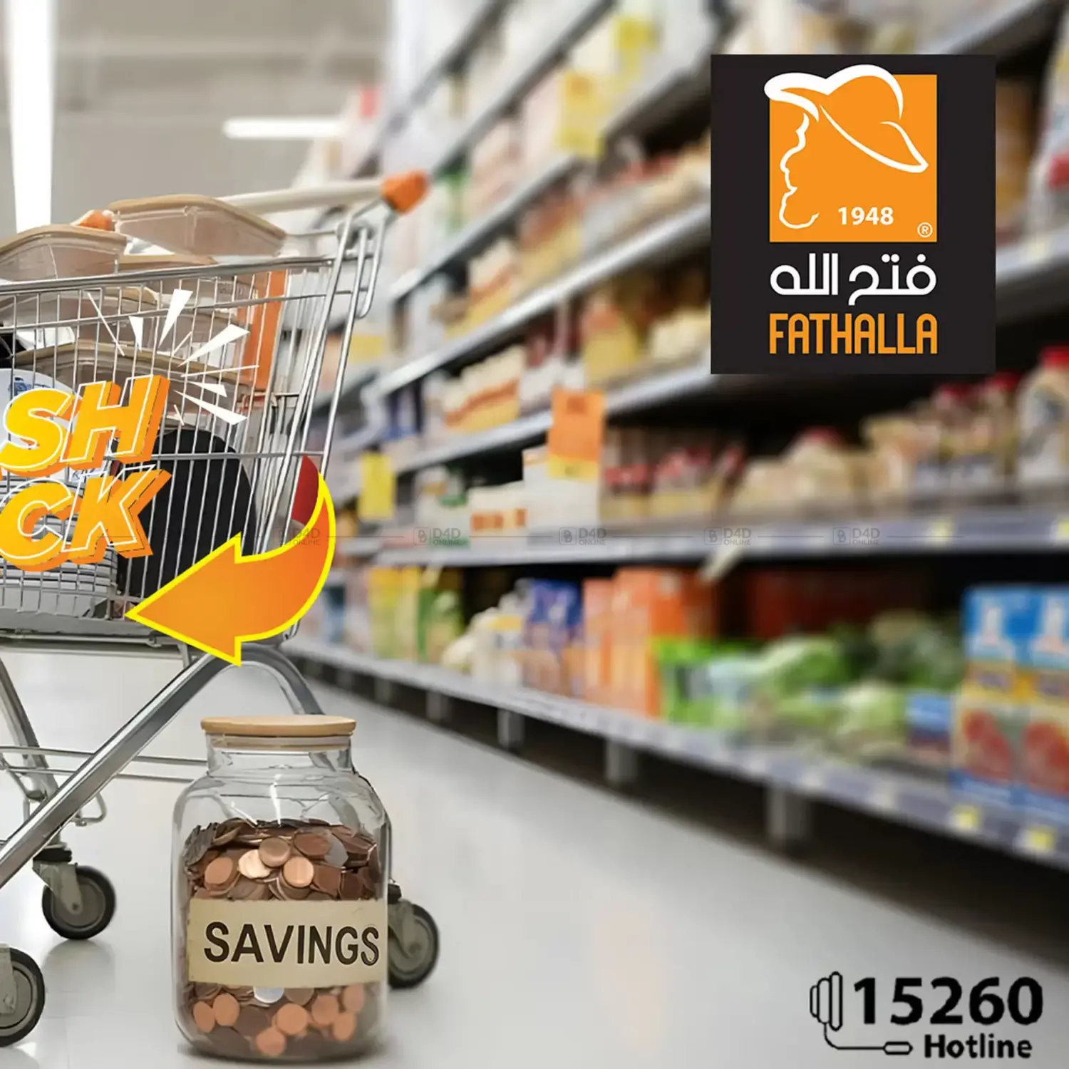 Special Offer in Cairo