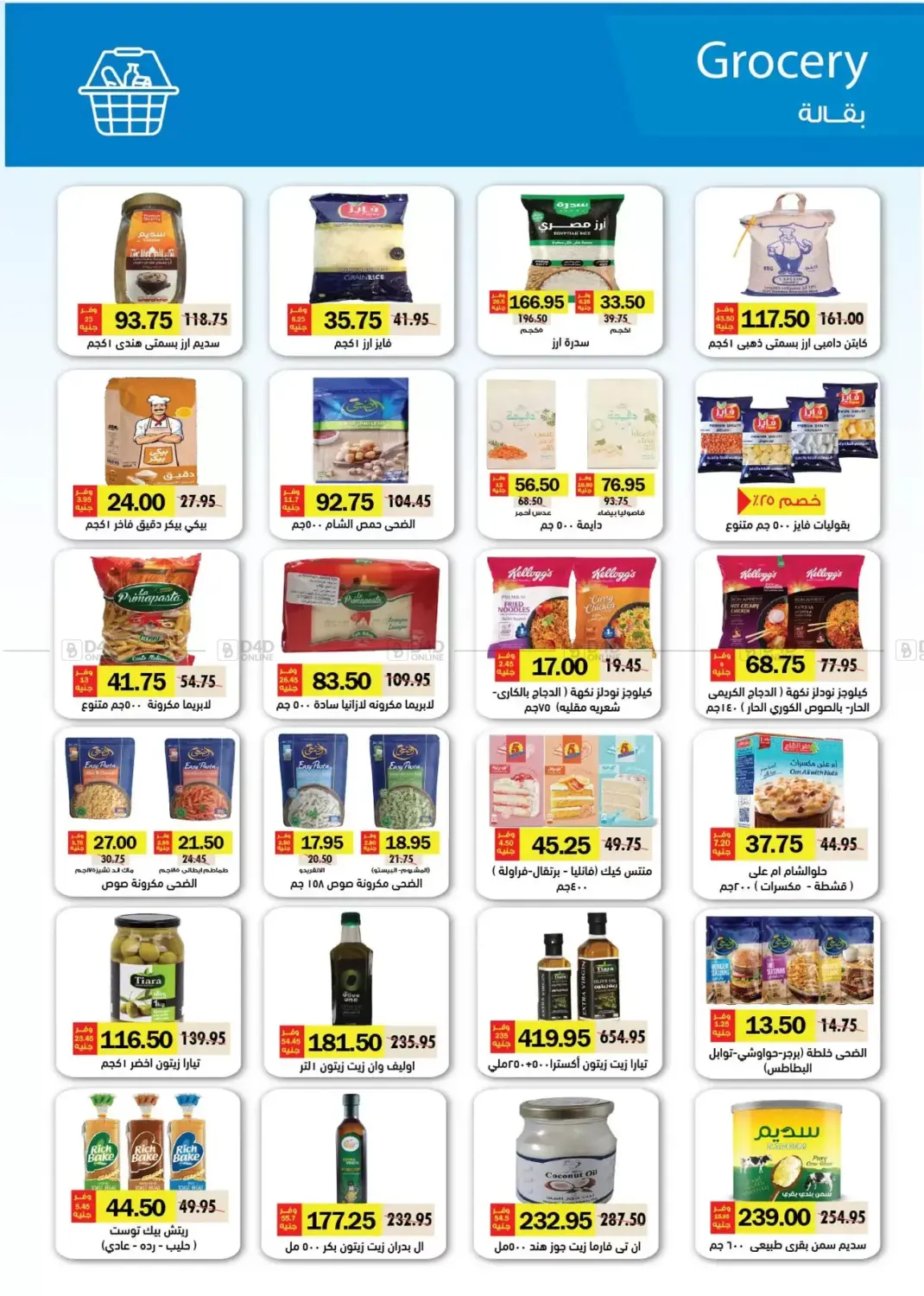 Special Offer in Cairo