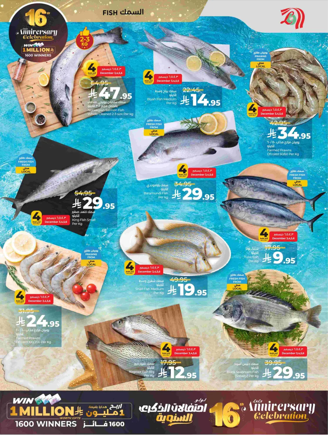 ١٦ لولو احتفالات الذكرى السنوية in الجبيل‎