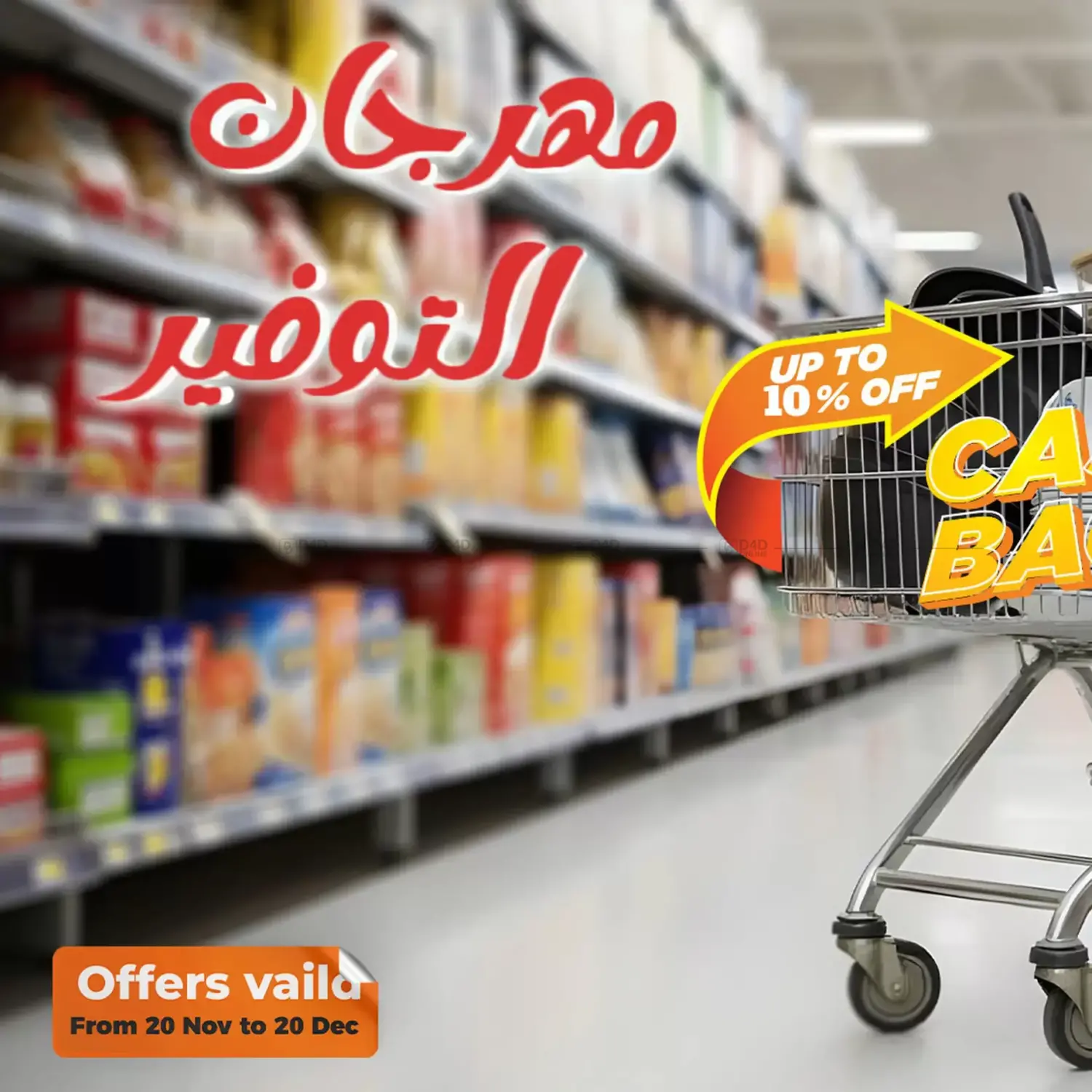 Special Offer in Cairo