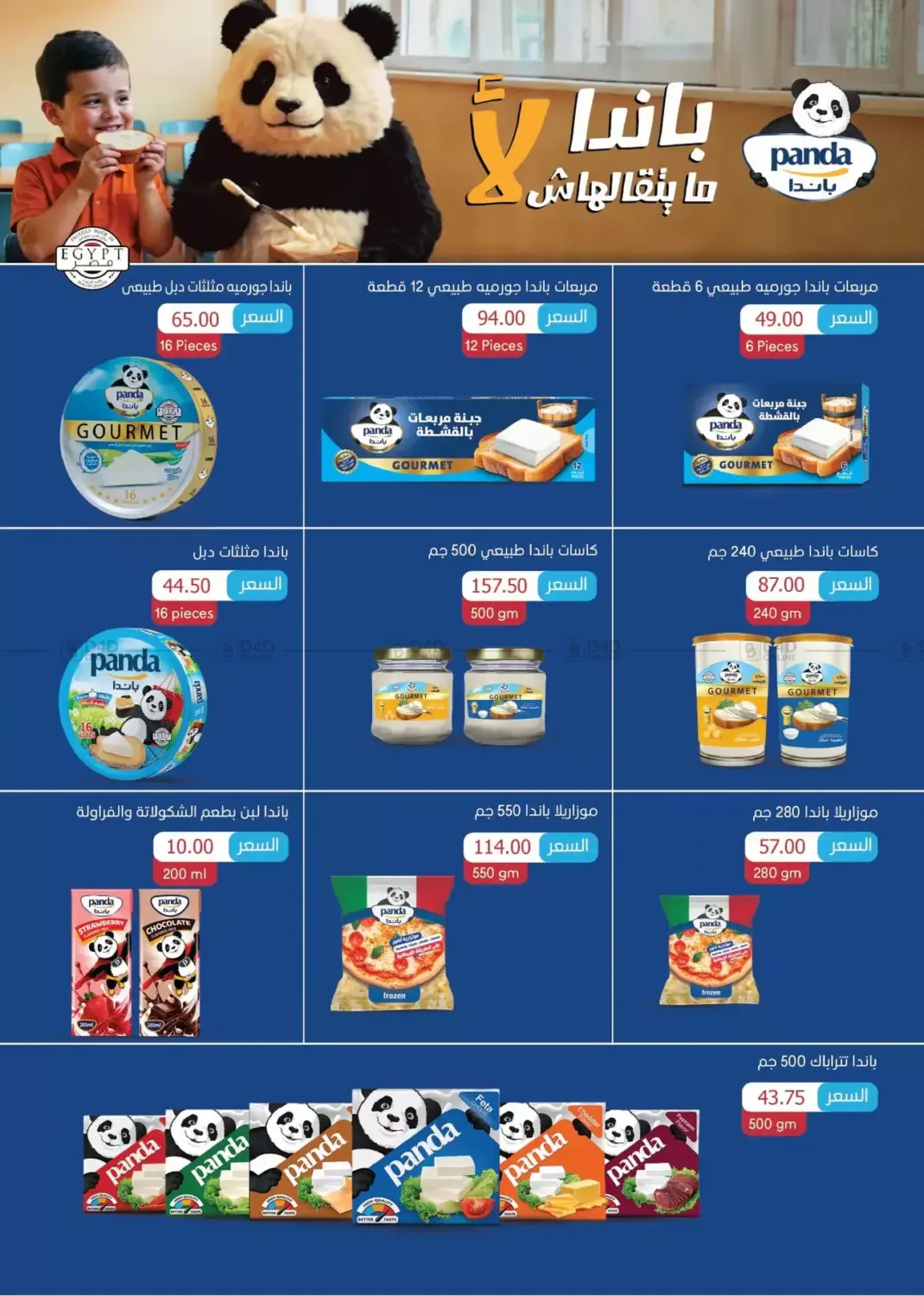 Special Offer in Cairo