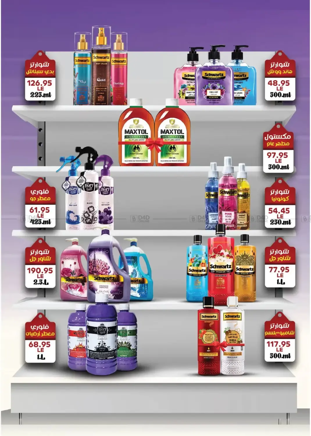 Special Offer in Cairo