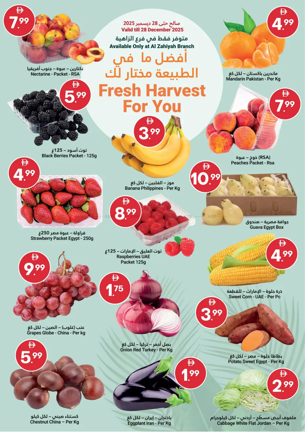 استمتع بالتوفير in أبو ظبي