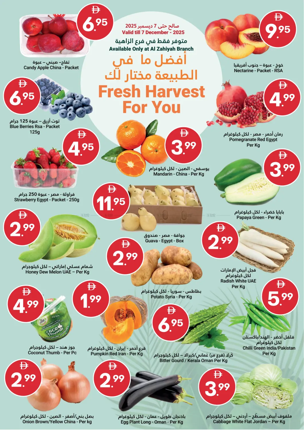 توفير احتفالي in أبو ظبي