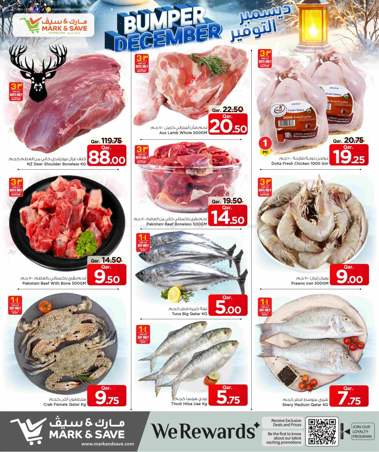 Bumper December in Al Shamal