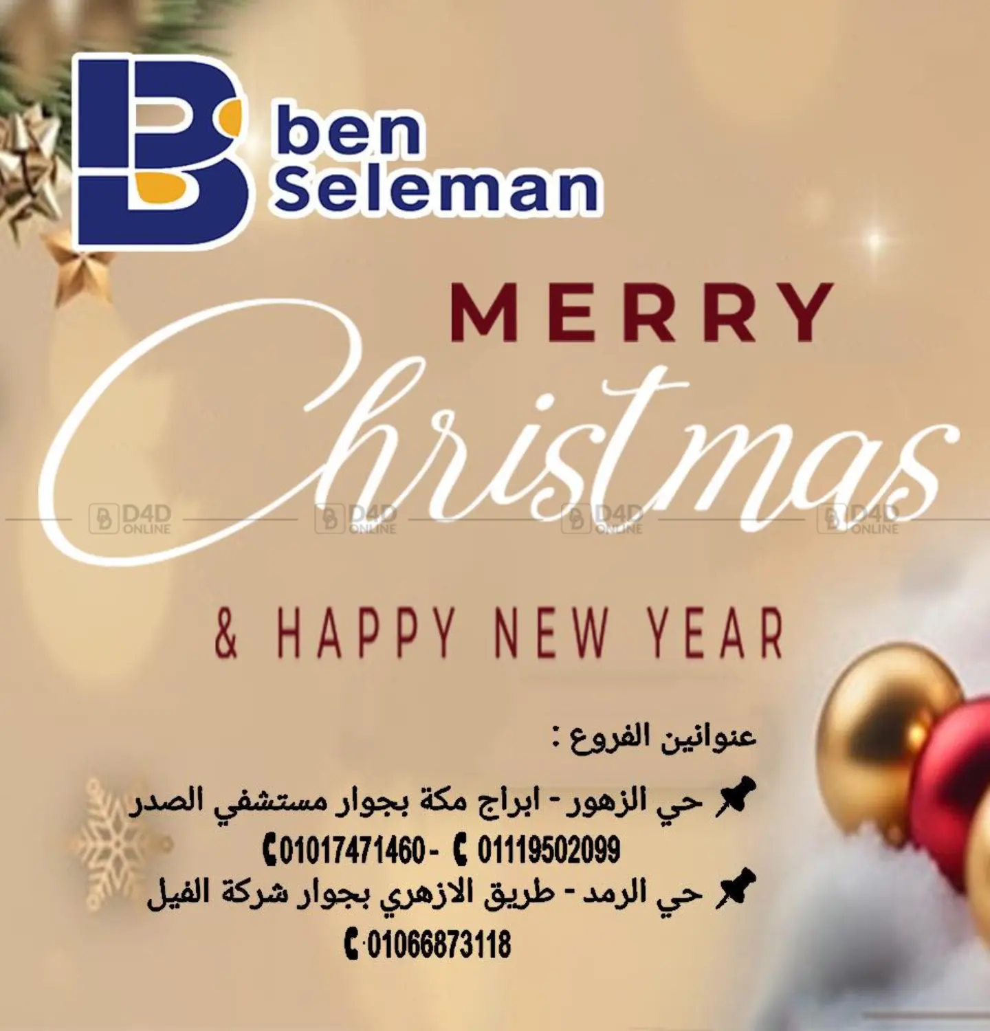 Merry Christmas & Happy New Year in القاهرة