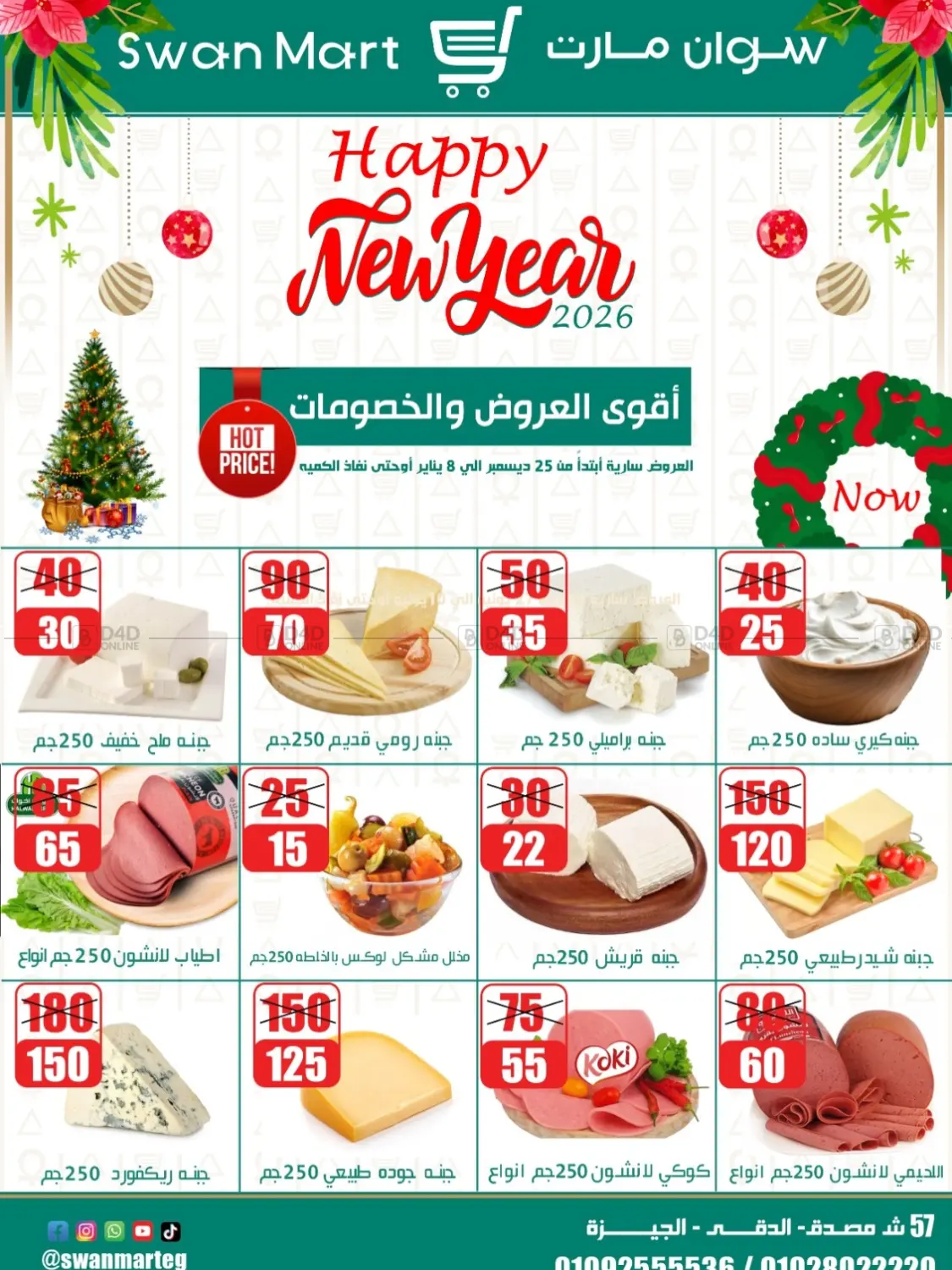 Happy New Year 2026 in Cairo