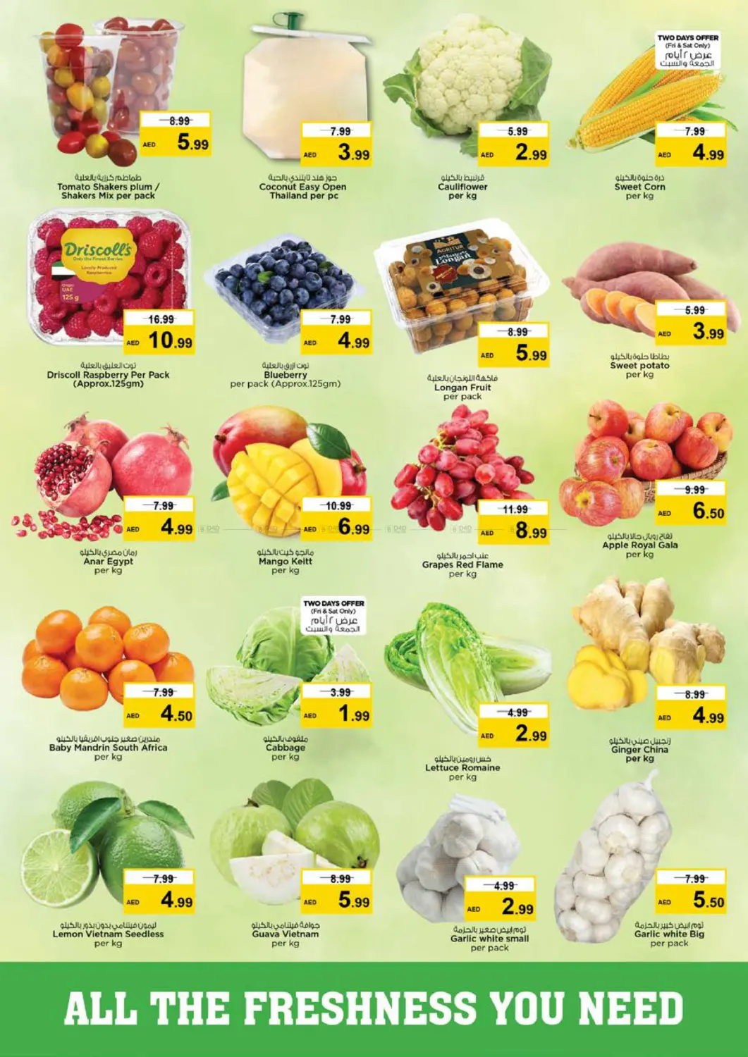 التلة ، عجمان in الشارقة / عجمان