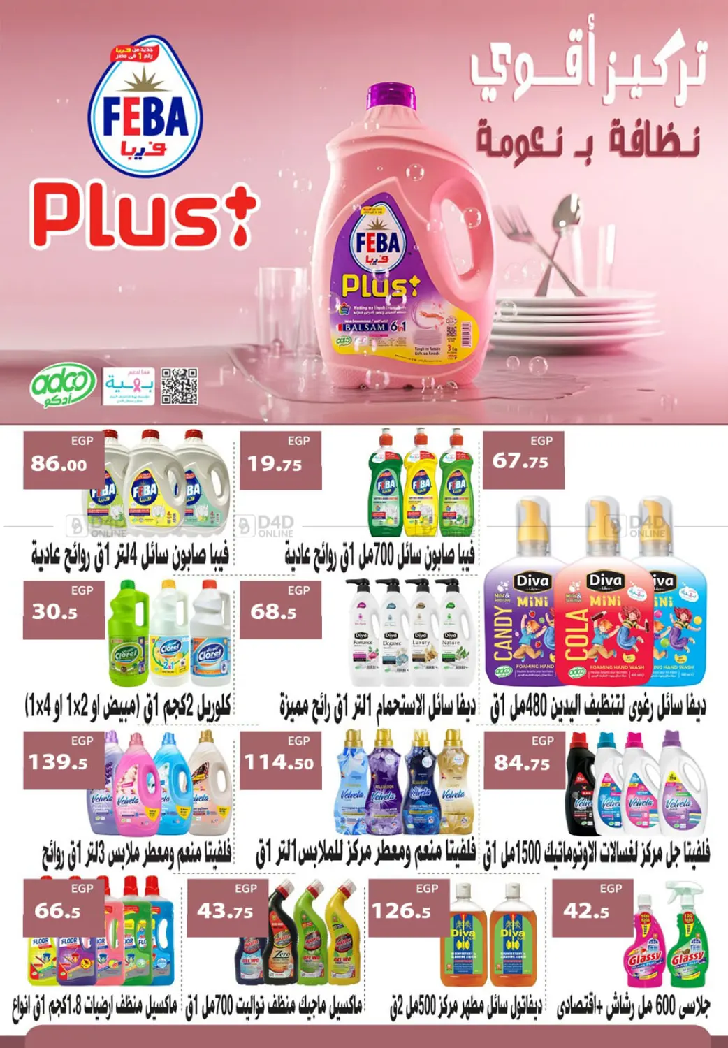 Special Offer in Cairo