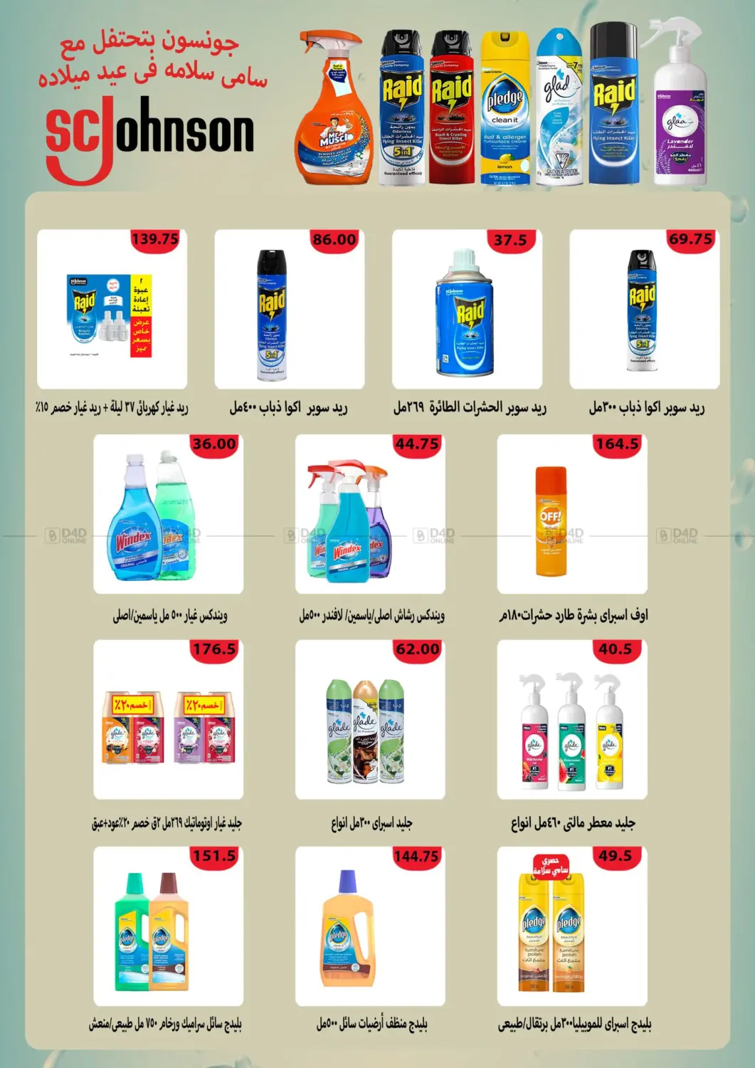 Special Offer in Cairo