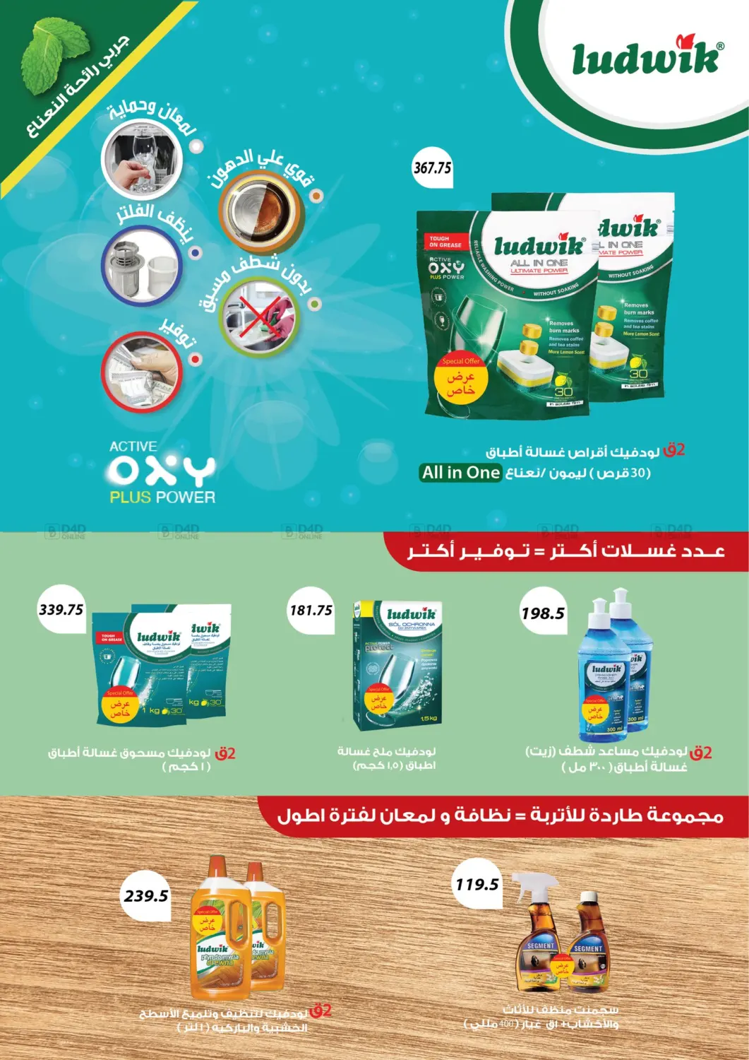 Special Offer in Cairo