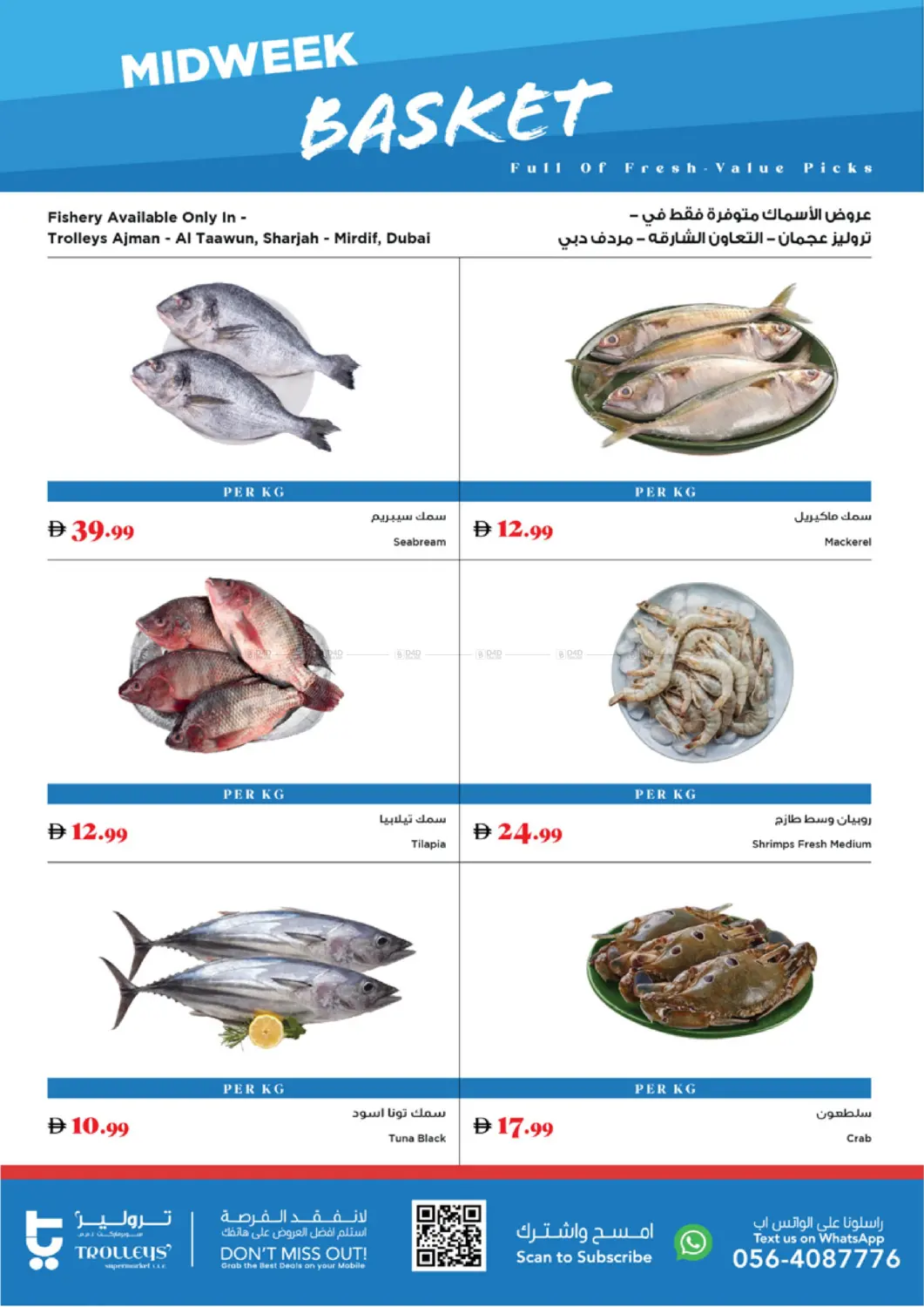 Midweek Basket in Sharjah / Ajman