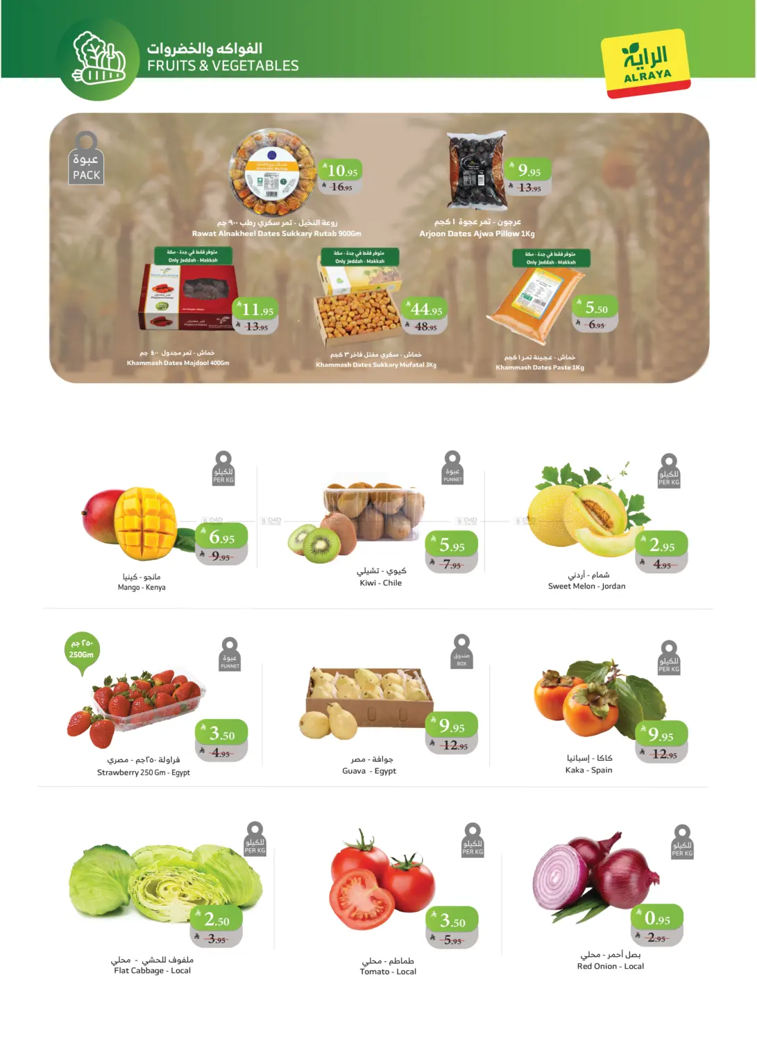 Our Surprises Continue in Najran