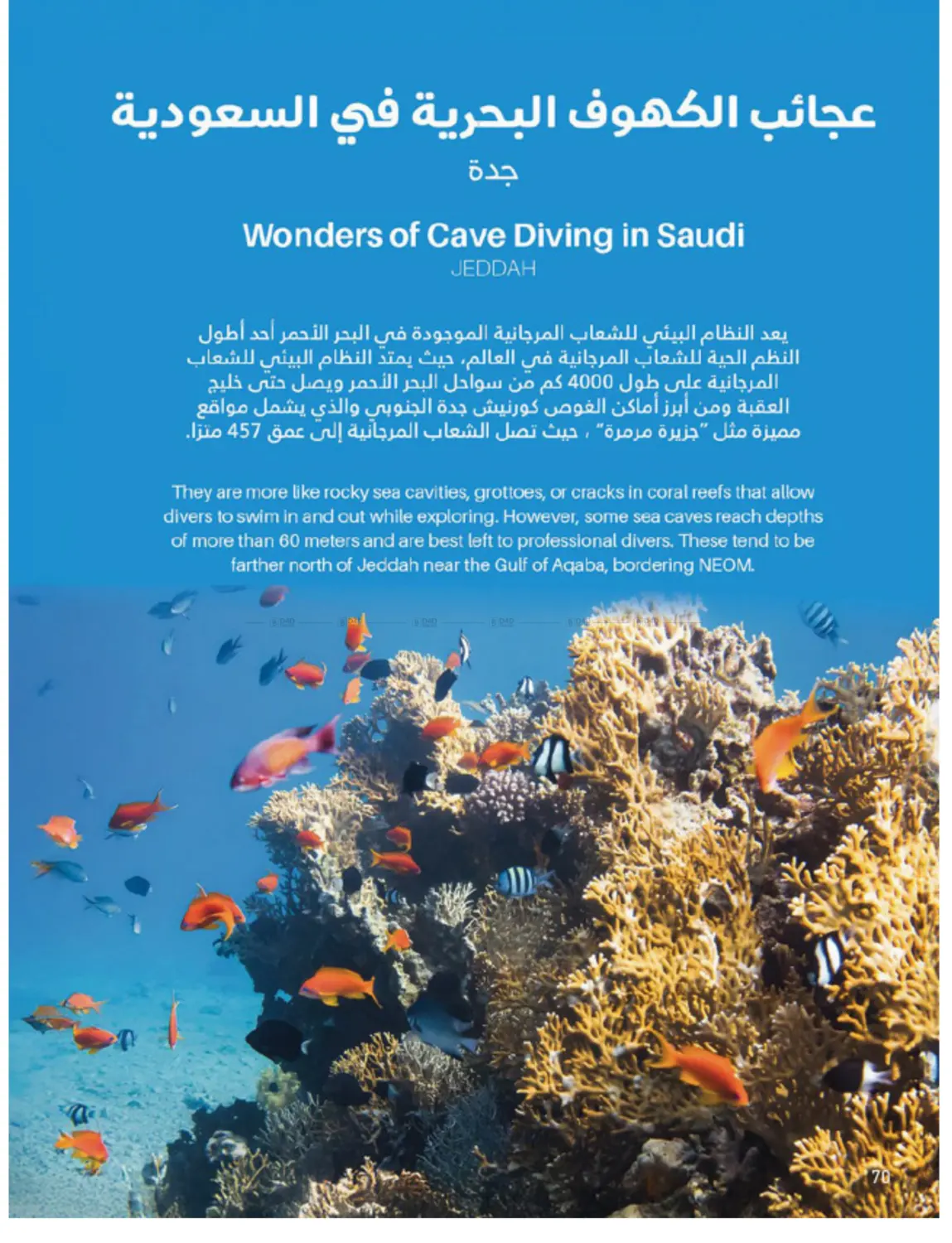 Outdoor Furniture Catalogue in Ta'if