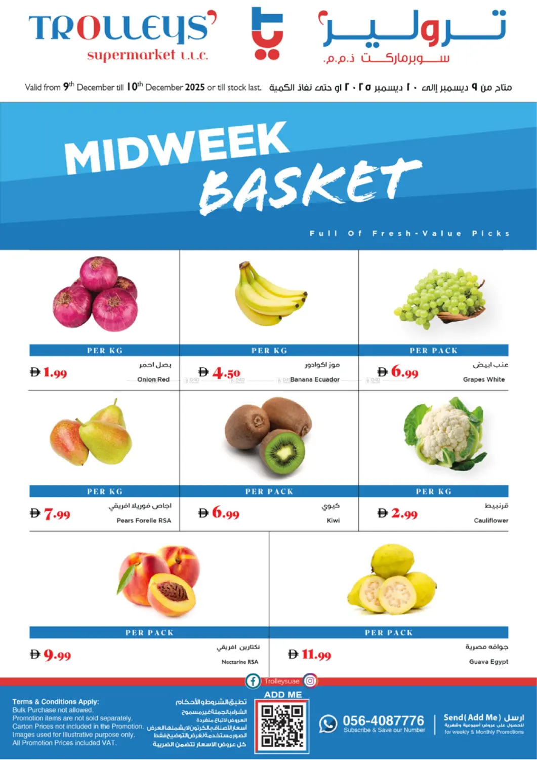 Midweek Basket in Sharjah / Ajman