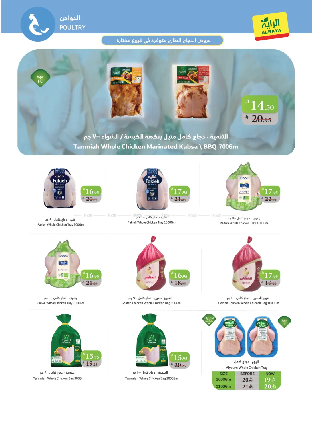 Our Surprises Continue in Najran