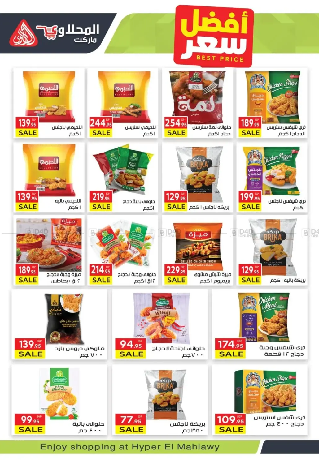 Hello Winter in Cairo