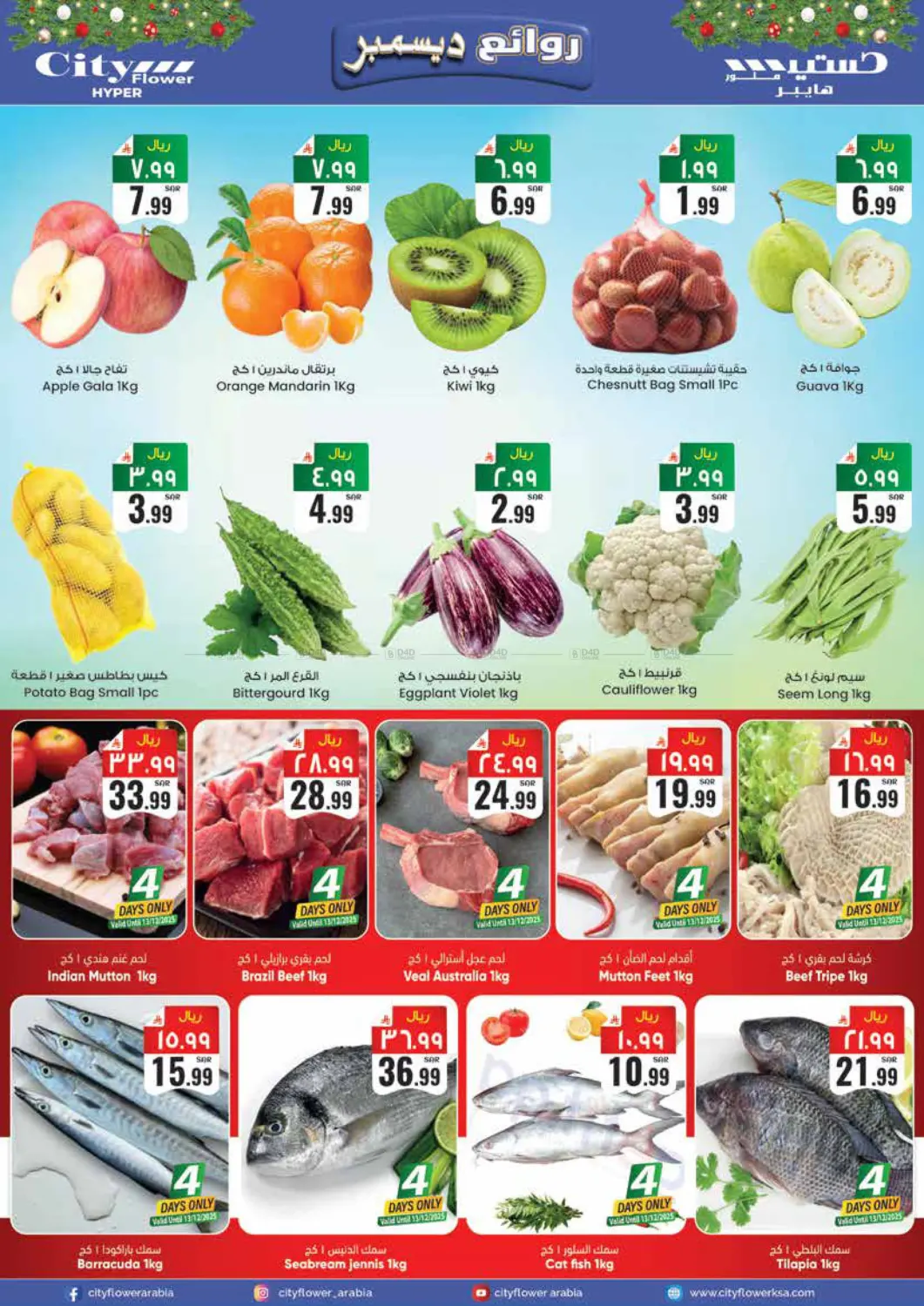 روائع ديسمبر in حائل‎