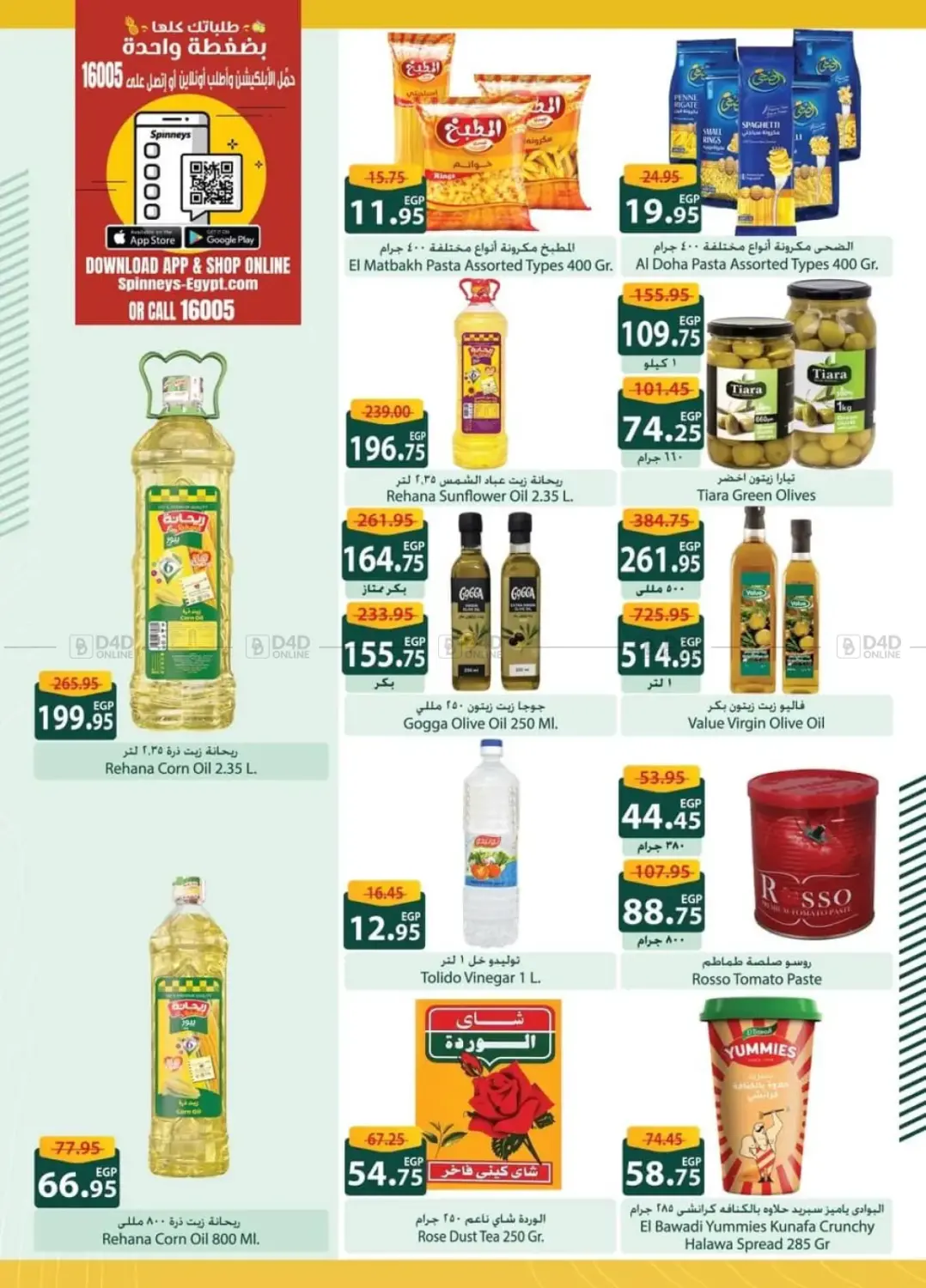 Hello Winter in Cairo