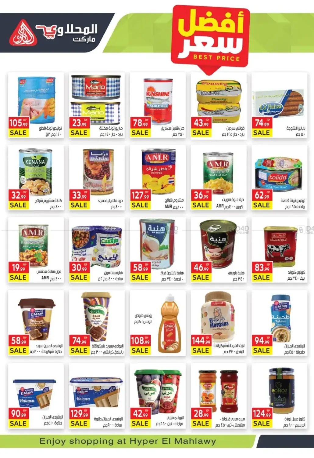 Hello Winter in Cairo