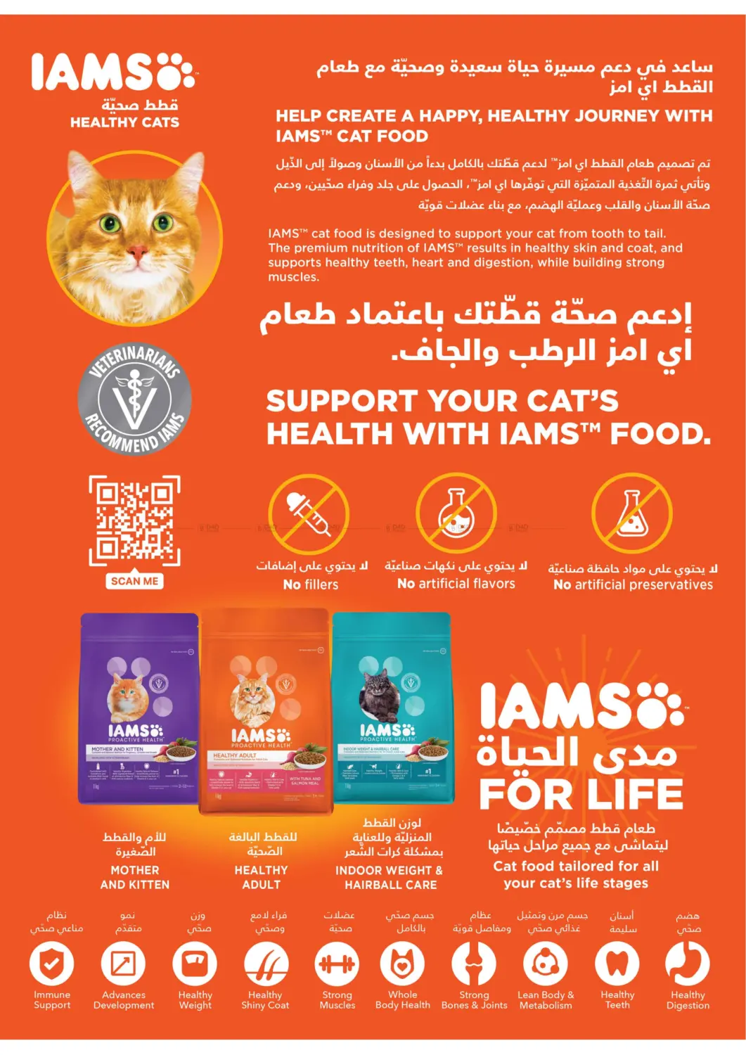 Get Your Low Themari Prices in Tabuk