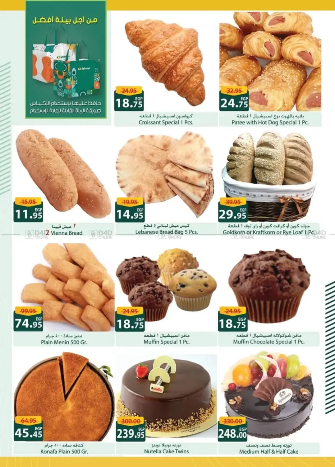 Hello Winter in Cairo