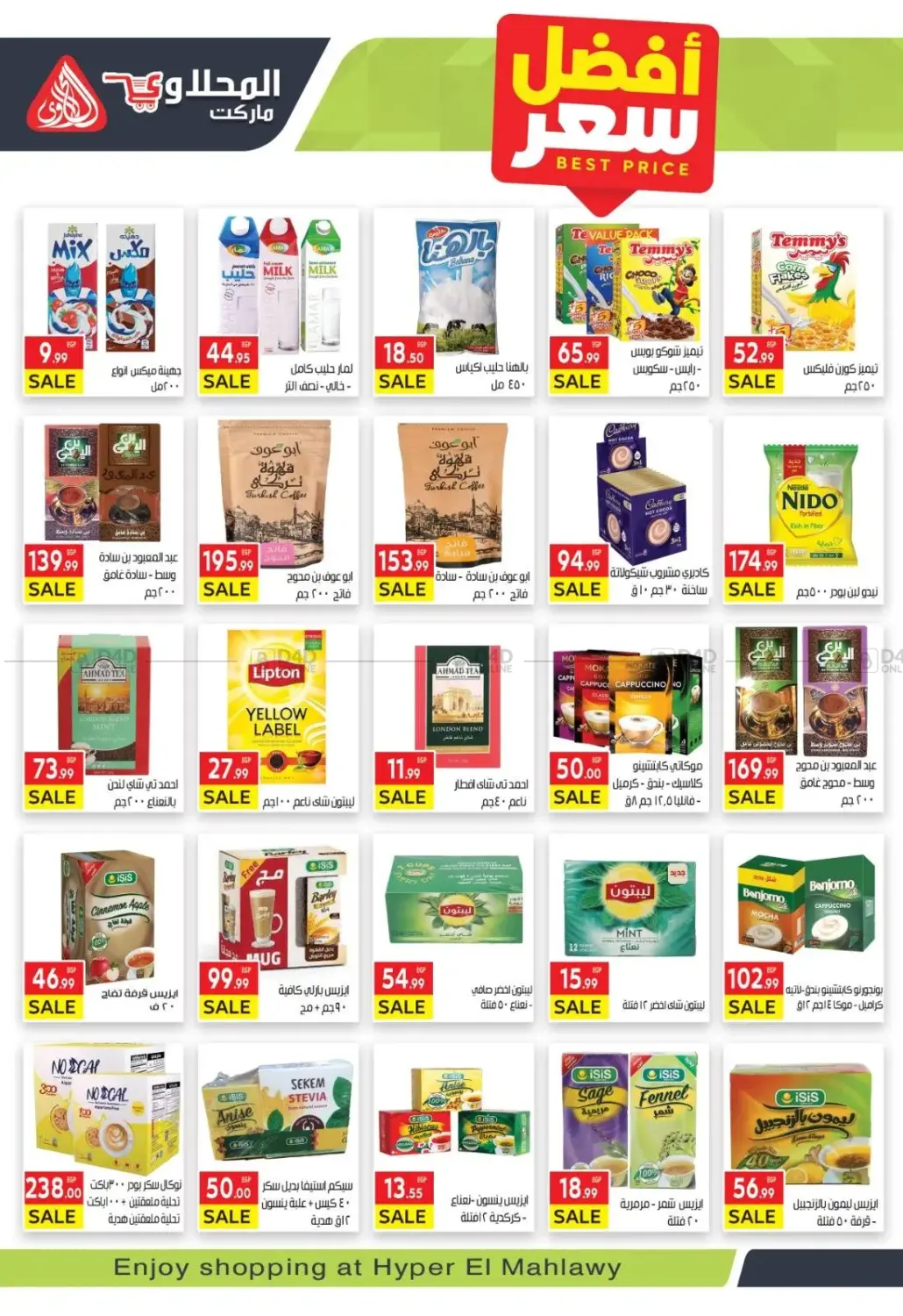 Hello Winter in Cairo