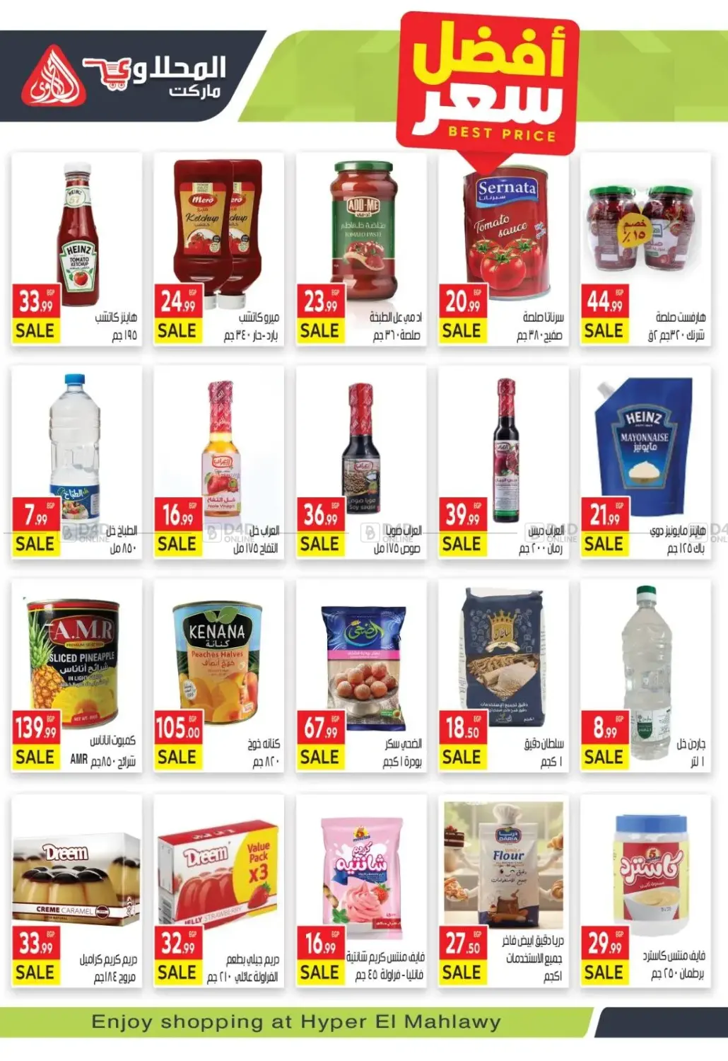 Hello Winter in Cairo