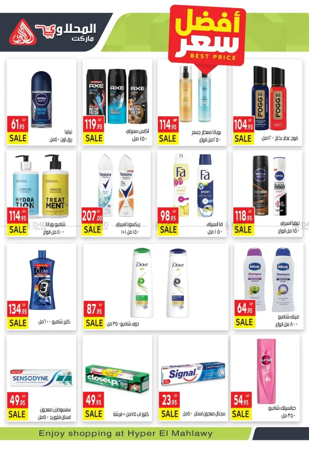 Hello Winter in Cairo