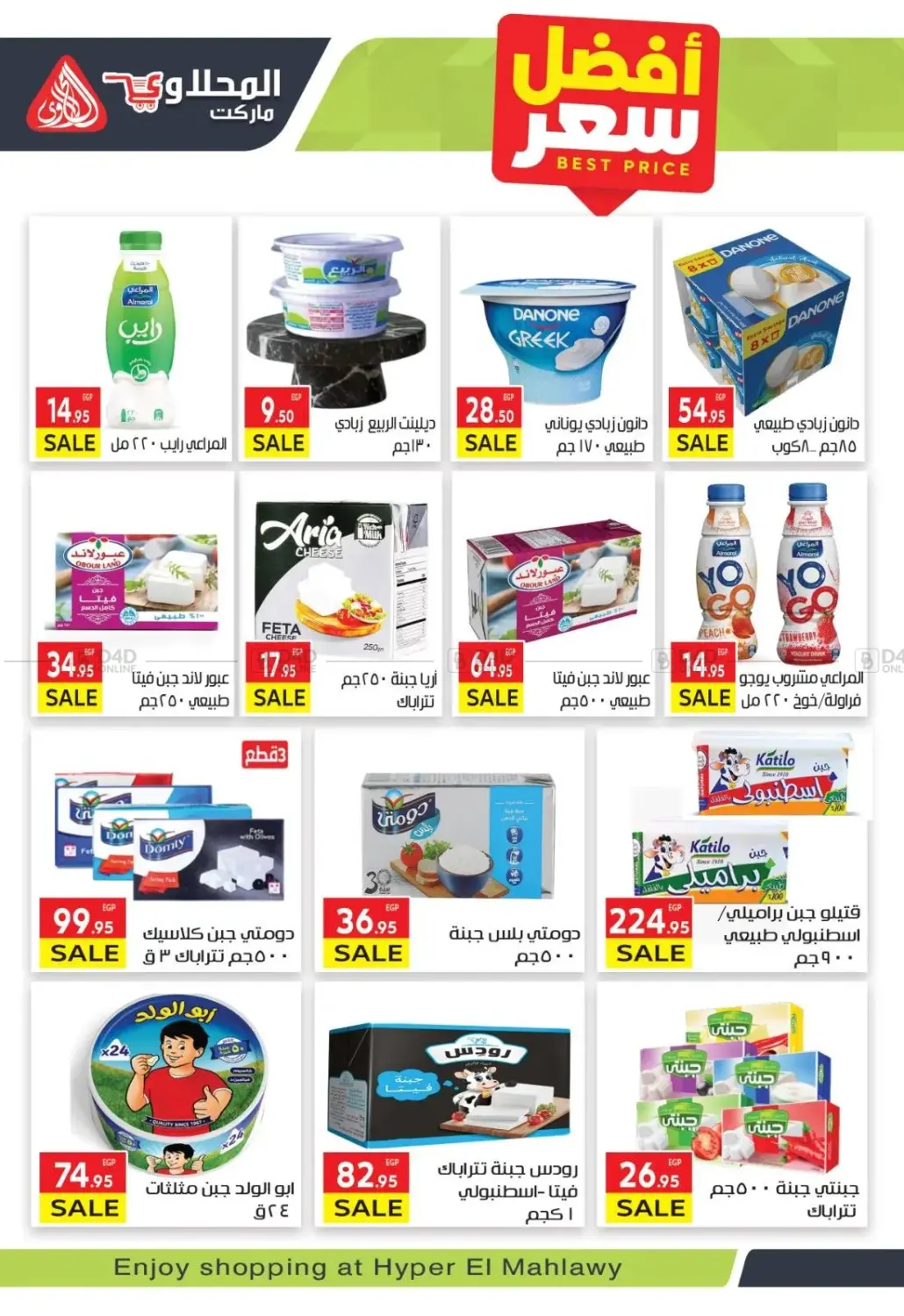 Hello Winter in Cairo