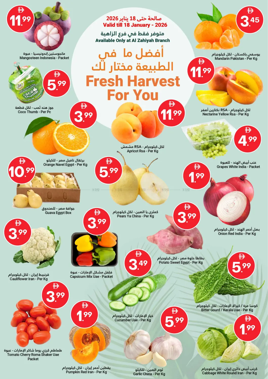 توفير كبير in أبو ظبي