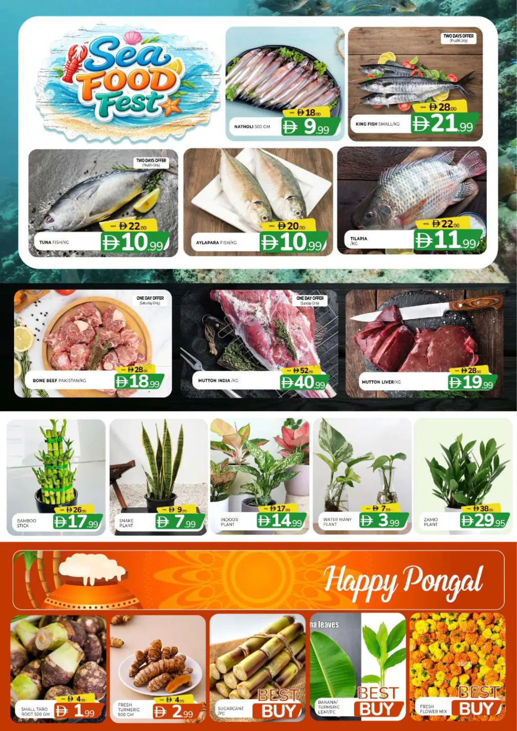 المويلح، الشارقة in الشارقة / عجمان