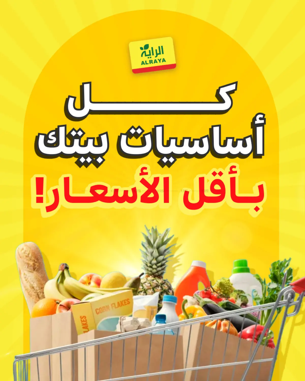 Special Offer in تبوك