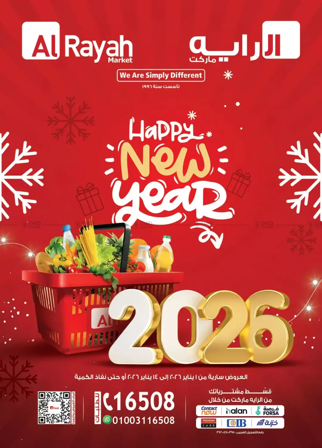 Happy New Year in Cairo