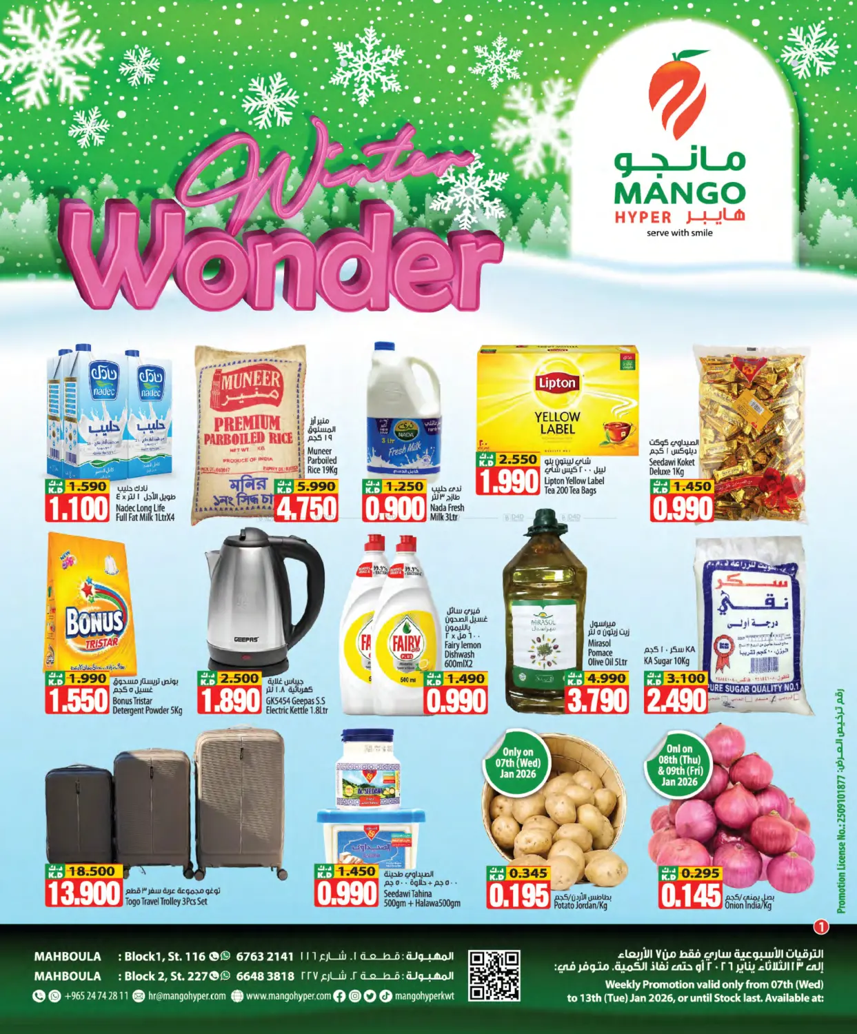 Winter Wonder in Ahmadi Governorate