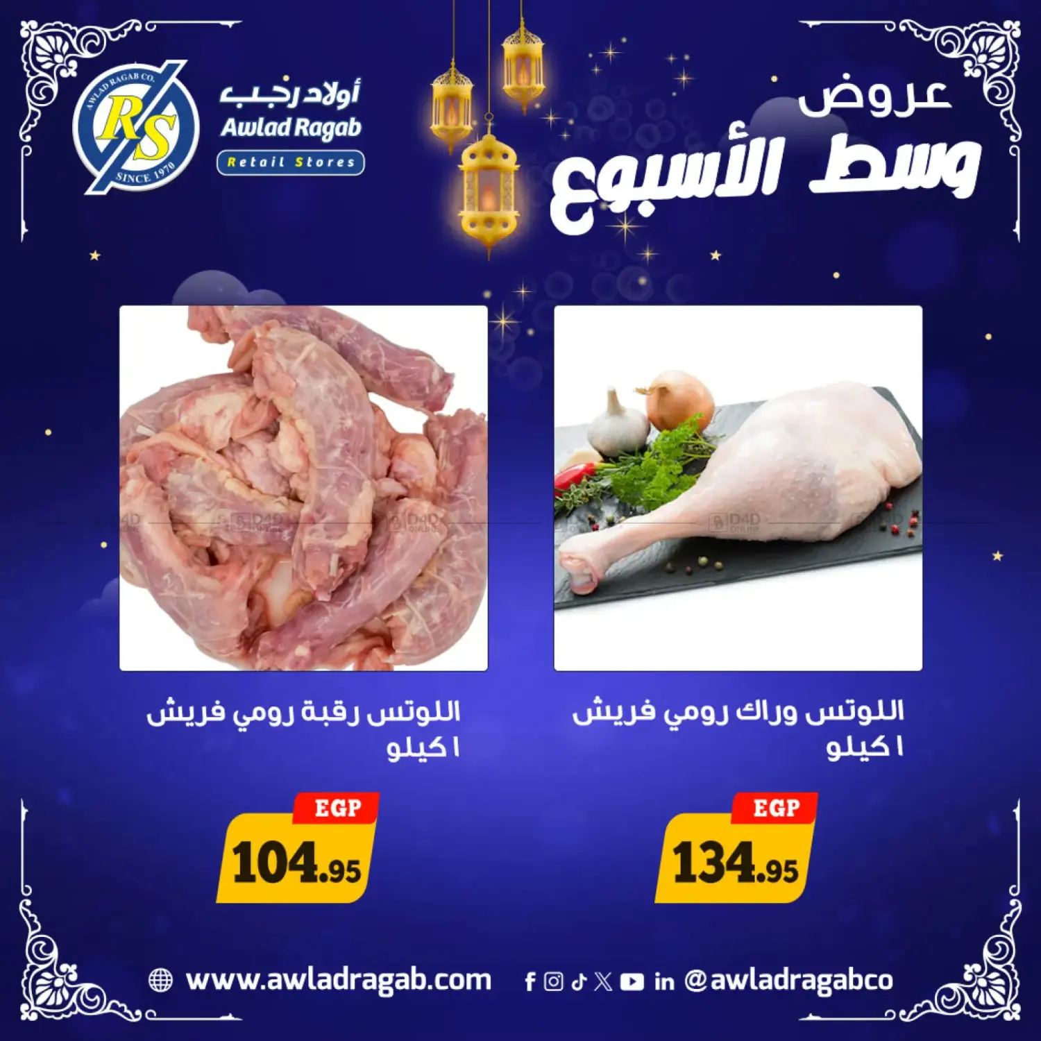 Special Offer in Cairo