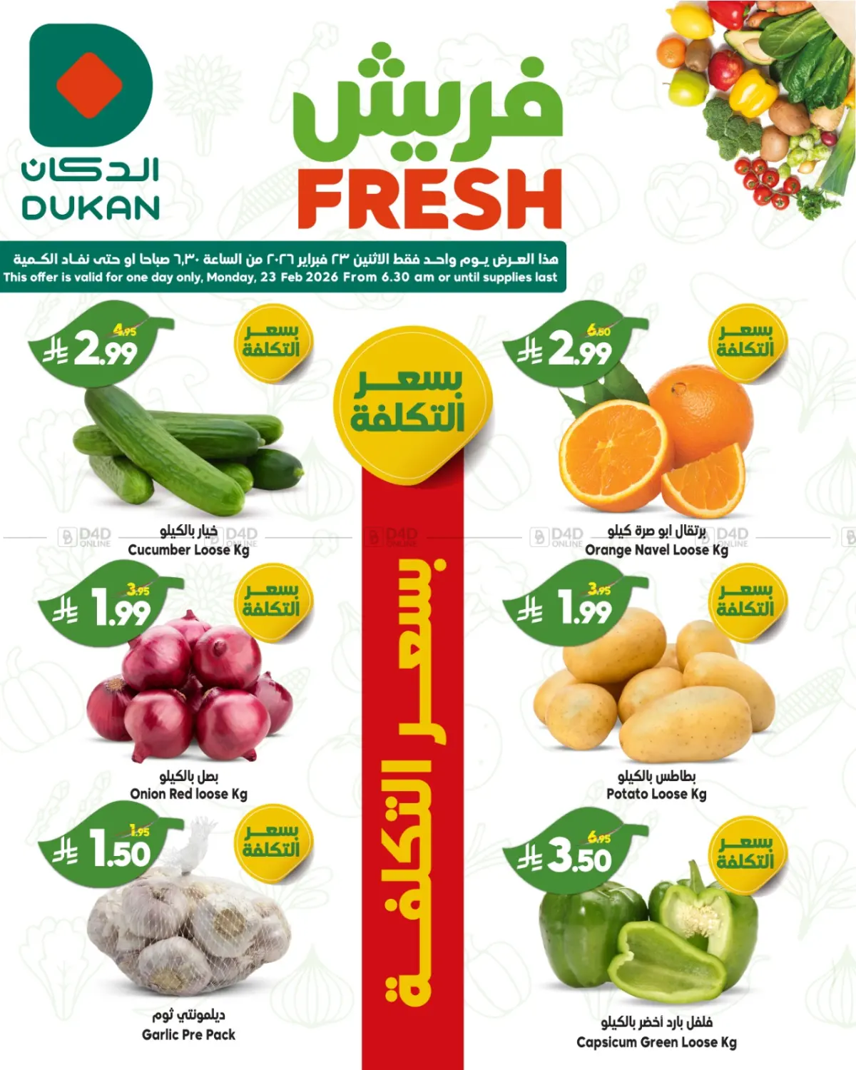 Fresh Offers in Yanbu