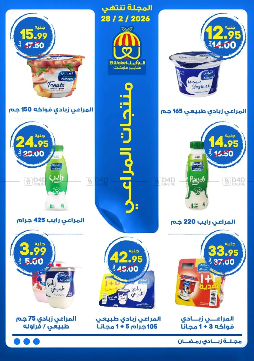 Special Offer in Cairo