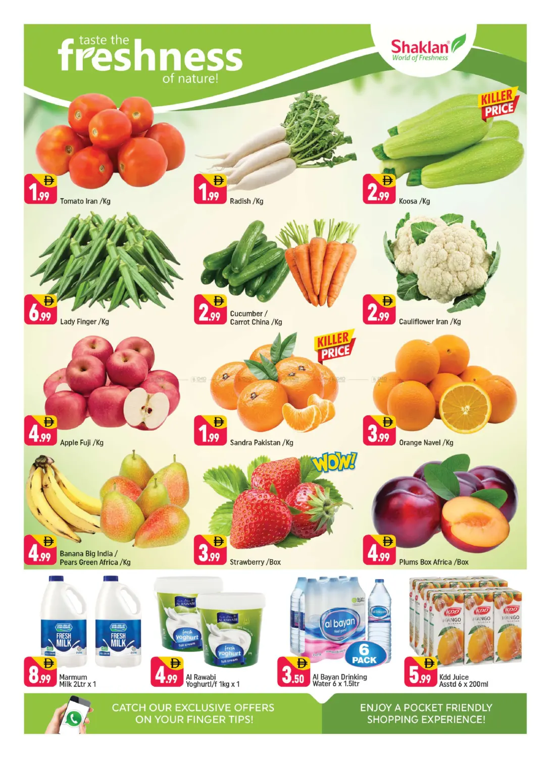 K-9 Greece Cluster,IC-Dubai in Dubai