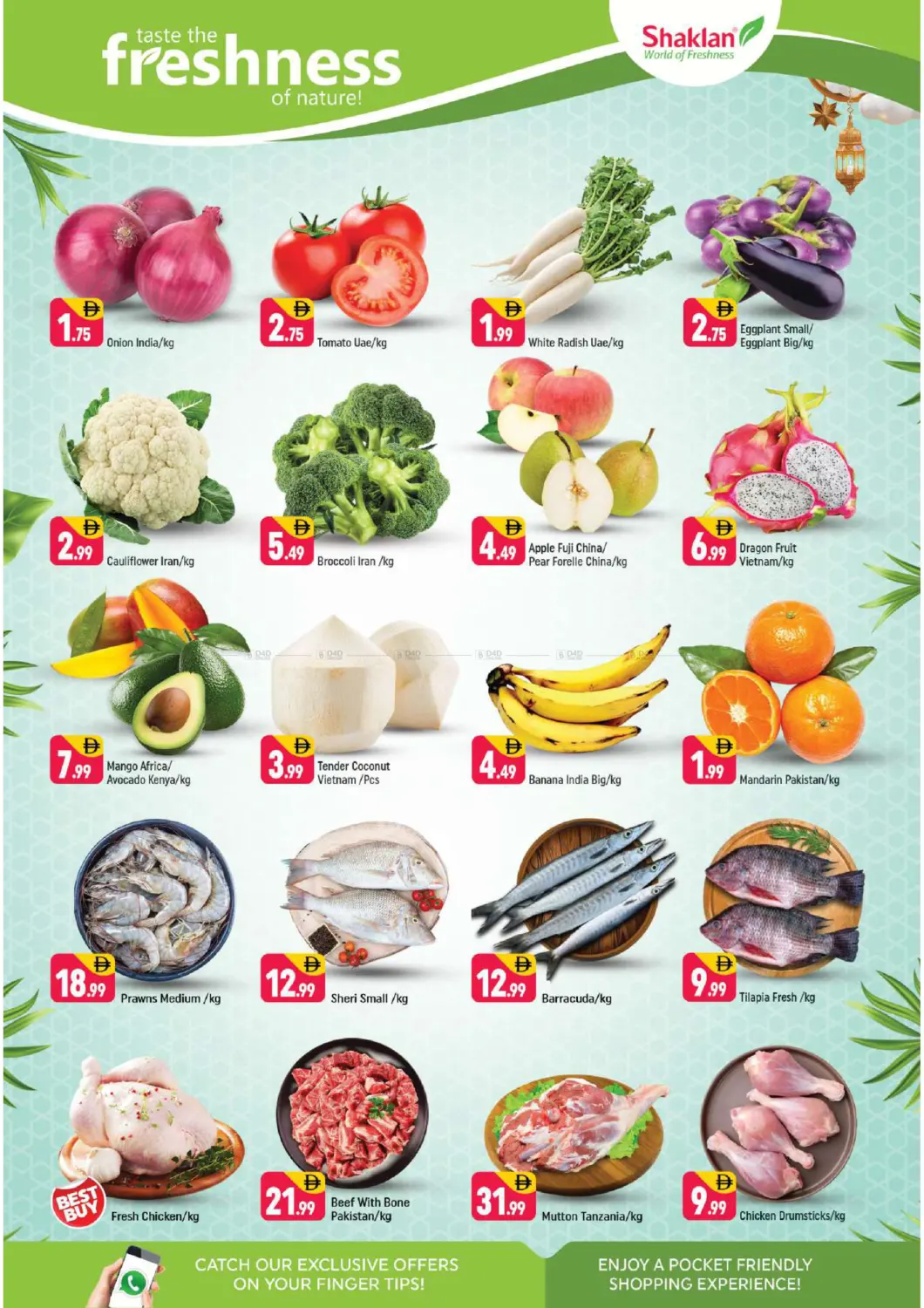 B-02 China Cluster,IC in Dubai