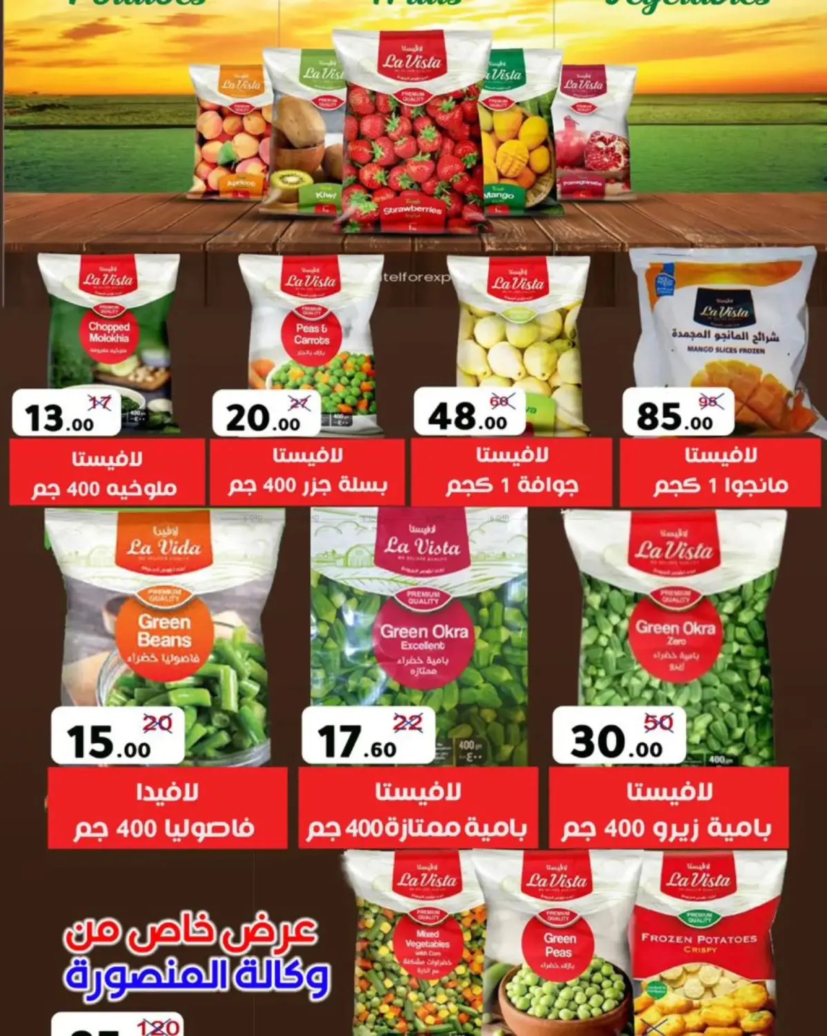 Special Offer in Cairo