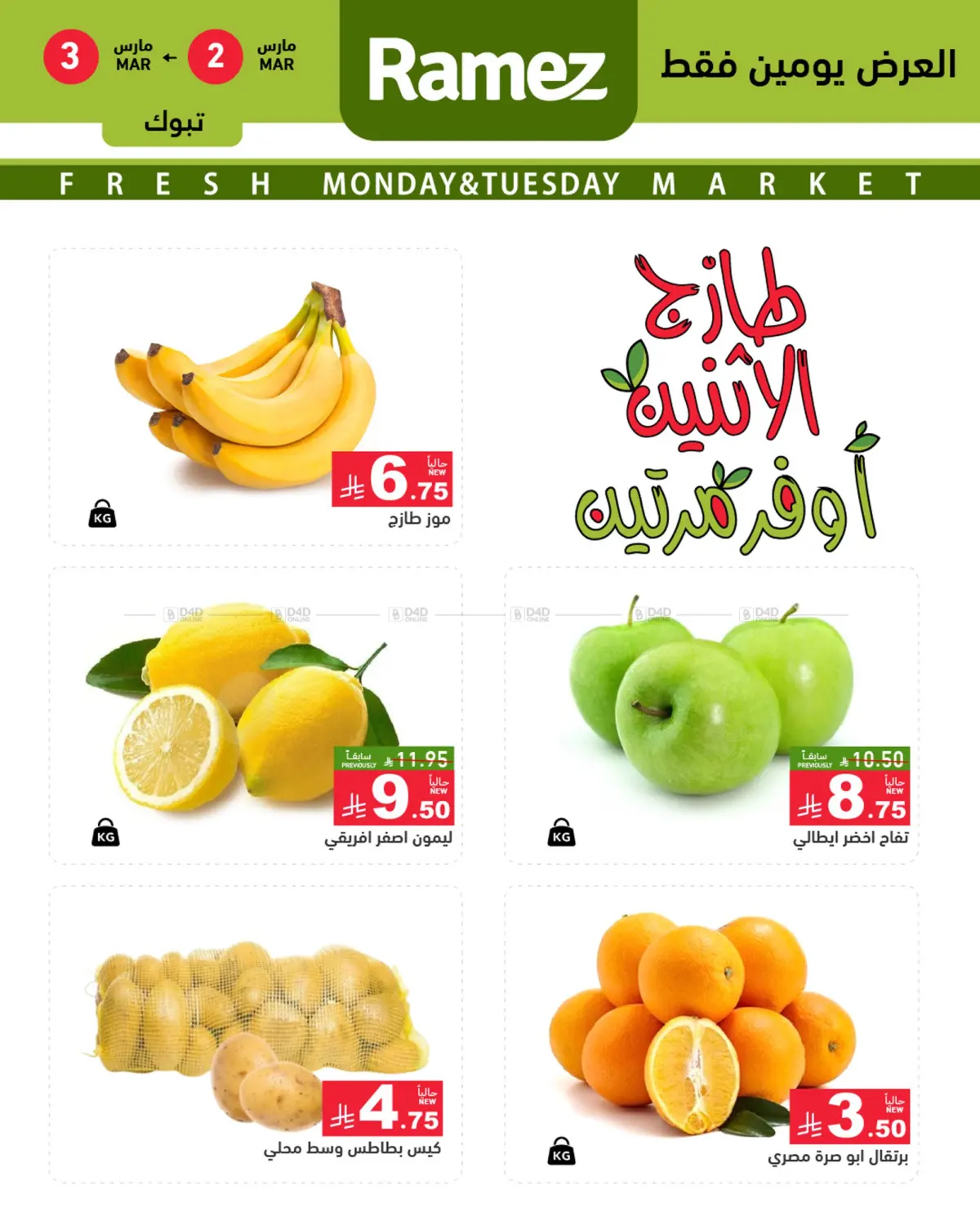 Special Offer in تبوك