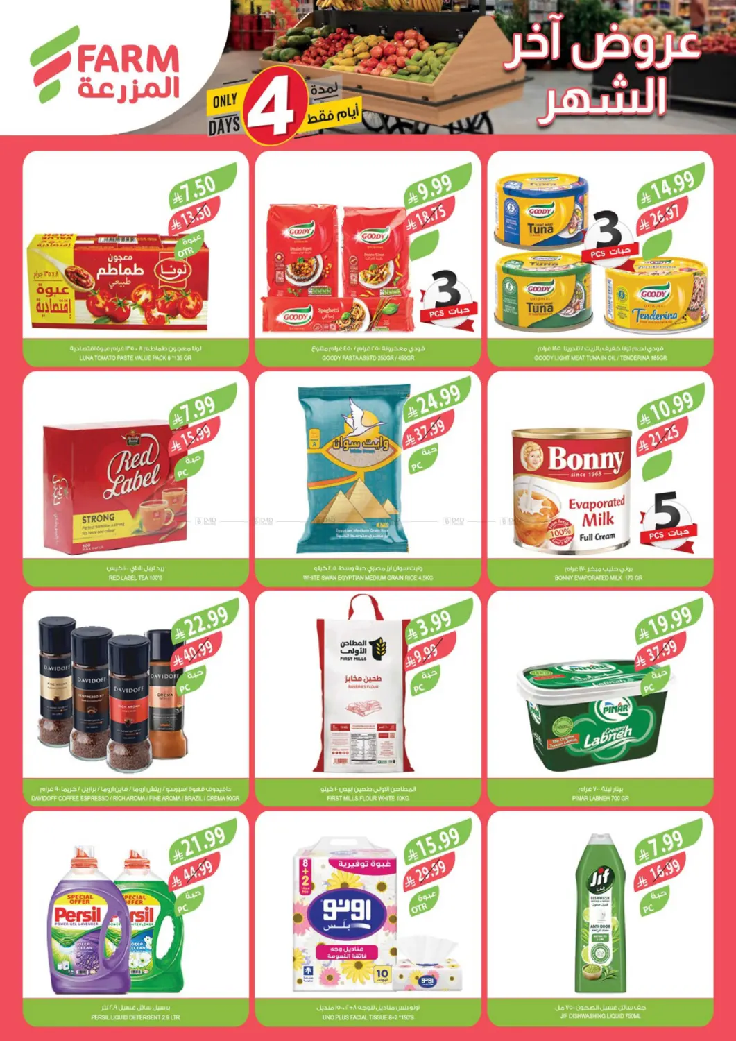 4 Days Only in Sakaka