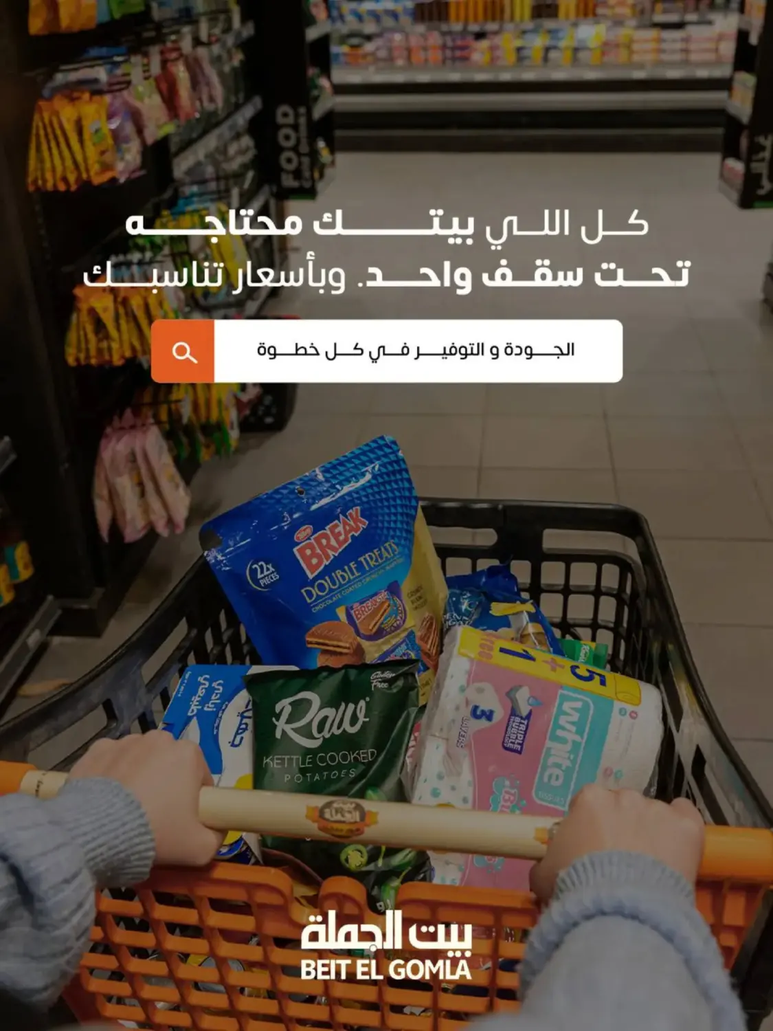 Special Offer in Cairo