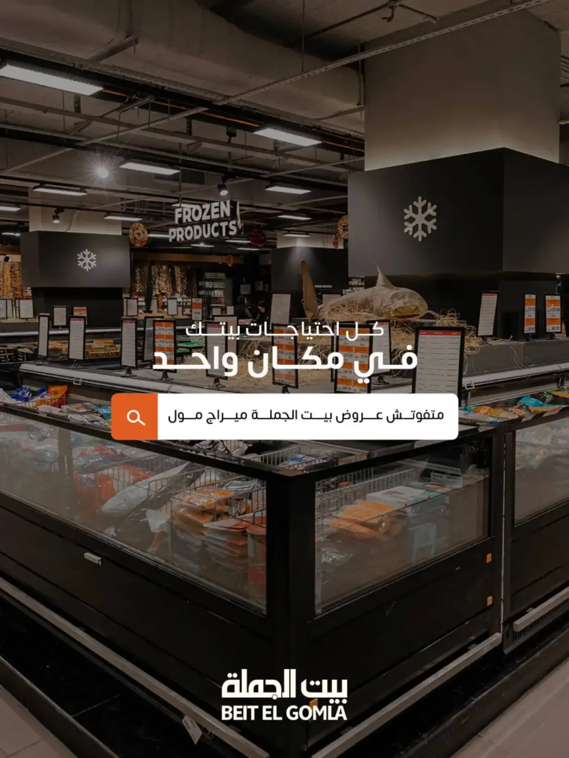 Special Offer in Cairo