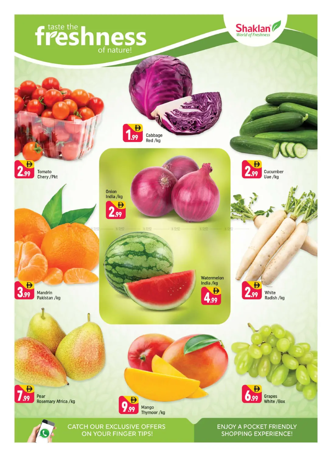 IC Phase - 2, Warsan 4, Dubai in Dubai