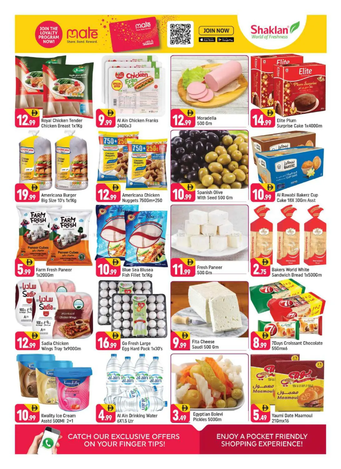 V-06 Russia Cluster, IC Dubai in Dubai