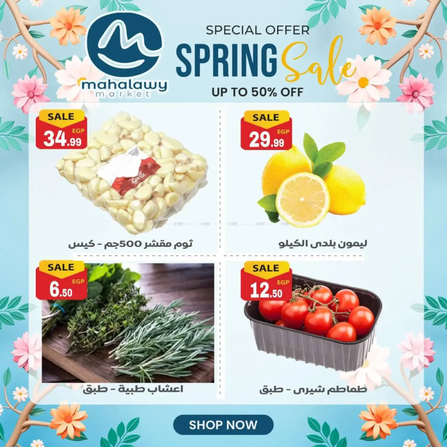 تنزيلات الخريف in القاهرة