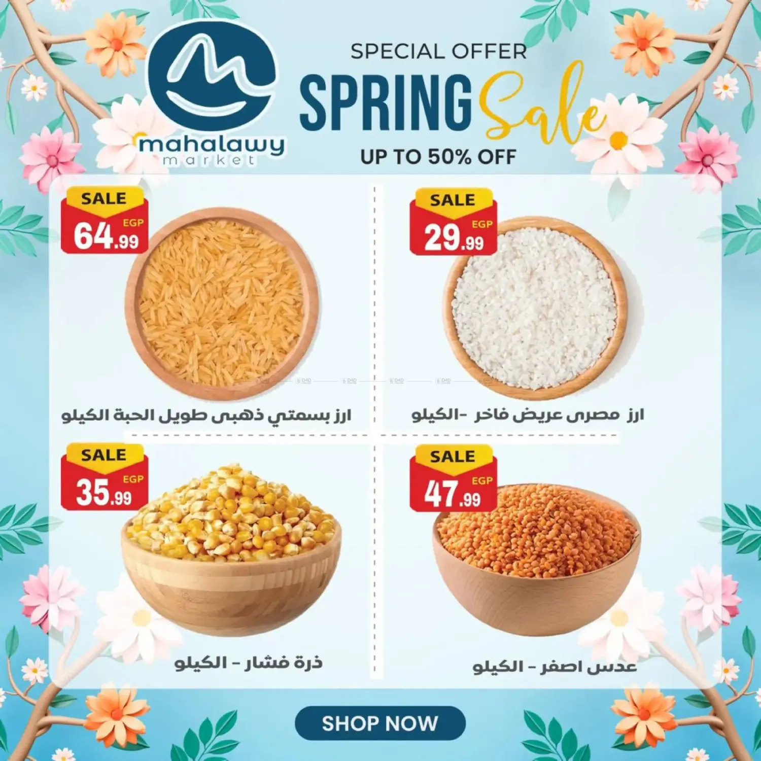 تنزيلات الخريف in القاهرة