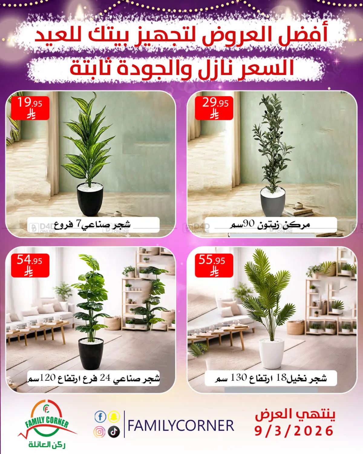 Special Offer in Riyadh